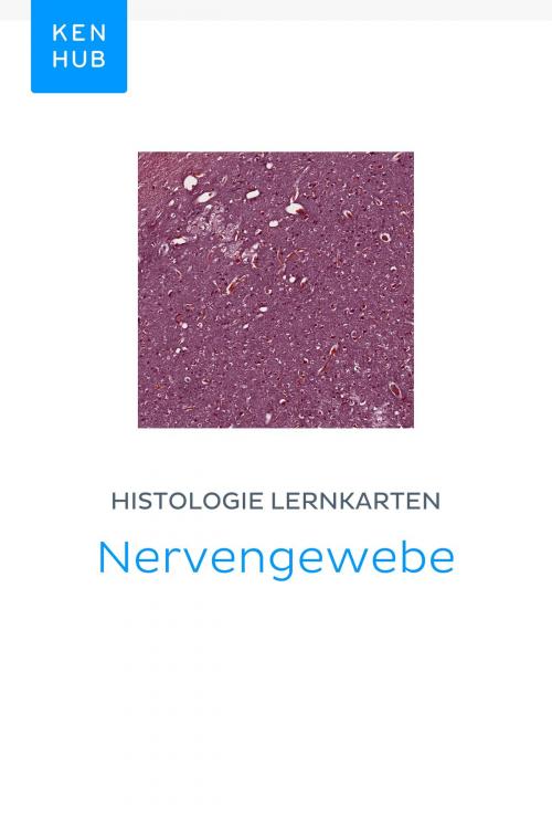 Cover of the book Histologie Lernkarten: Nervengewebe by Kenhub, Kenhub