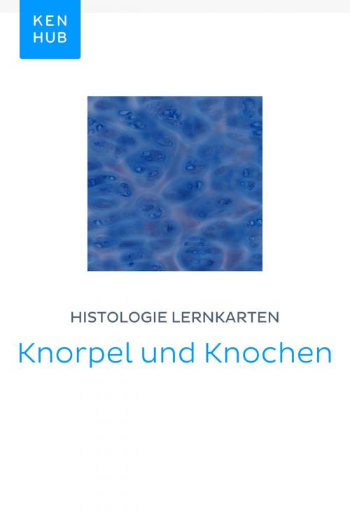 Cover of the book Histologie Lernkarten: Knorpel und Knochen by Kenhub, Kenhub
