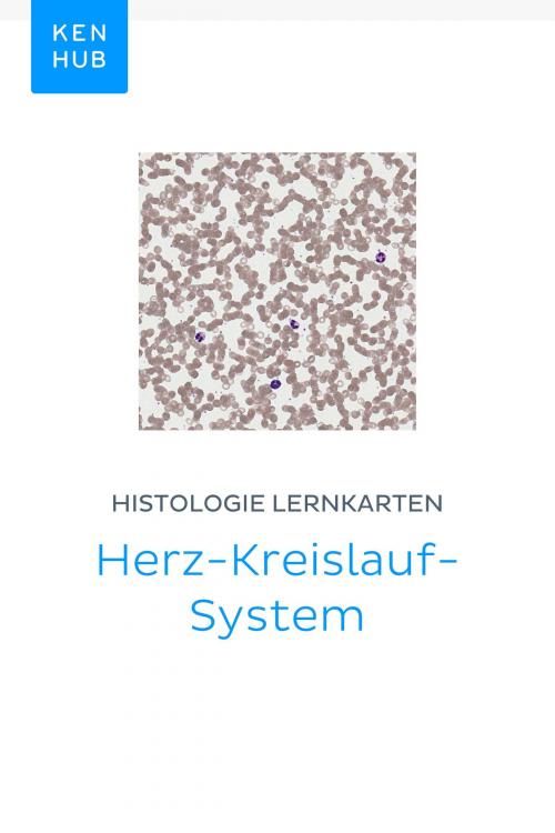 Cover of the book Histologie Lernkarten: Herz-Kreislauf-System by Kenhub, Kenhub