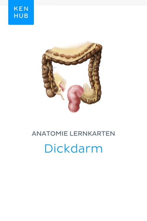 Cover of the book Anatomie Lernkarten: Dickdarm by Kenhub, Kenhub