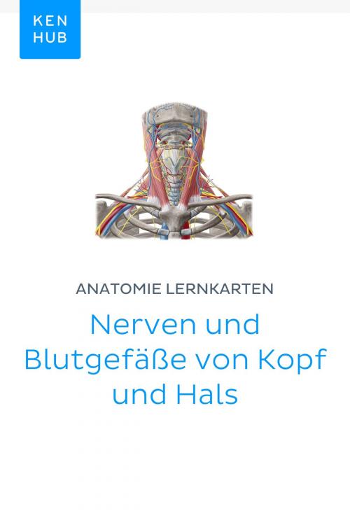 Cover of the book Anatomie Lernkarten: Nerven und Blutgefäße von Kopf und Hals by Kenhub, Kenhub