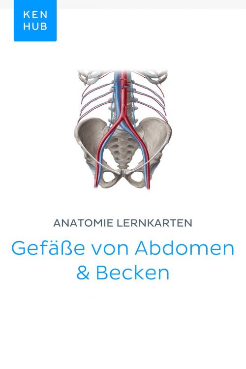 Cover of the book Anatomie Lernkarten: Gefäße von Abdomen & Becken by Kenhub, Kenhub