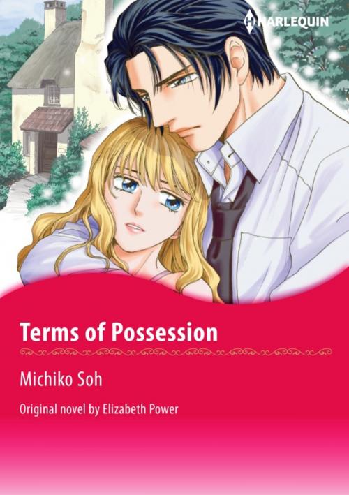 Cover of the book TERMS OF POSSESSION by Elizabeth Power, Harlequin / SB Creative Corp.