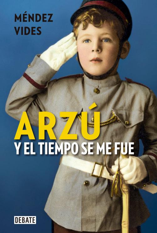 Cover of the book Arzú. Y el tiempo se me fue by Méndez Vides, Penguin Random House Grupo Editorial México
