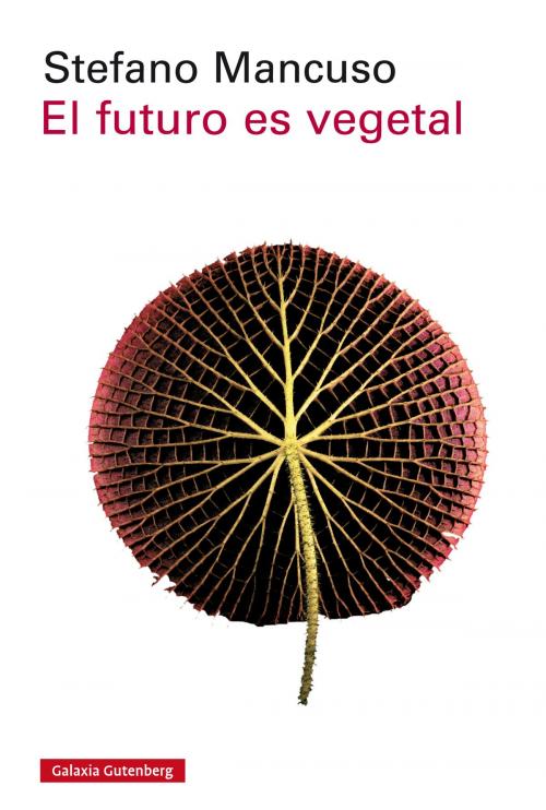 Cover of the book El futuro es vegetal by Stefano Mancuso, Galaxia Gutenberg