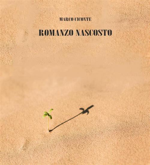 Cover of the book Romanzo nascosto by Marco Ciconte, Marco Ciconte