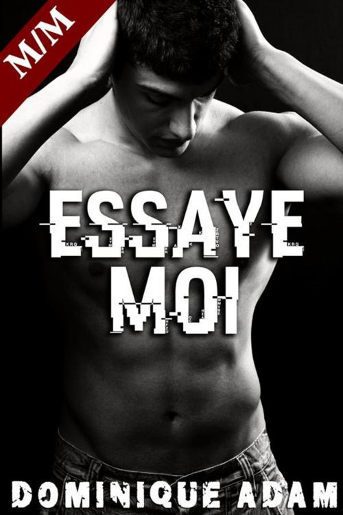 Cover of the book Essaye-Moi ! by dominique adam, Dominique Adam