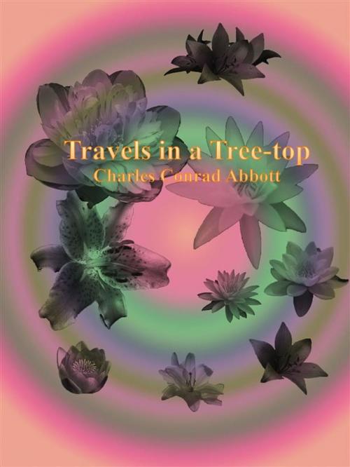 Cover of the book Travels in a Tree-top by Charles Conrad Abbott, Charles Conrad Abbott