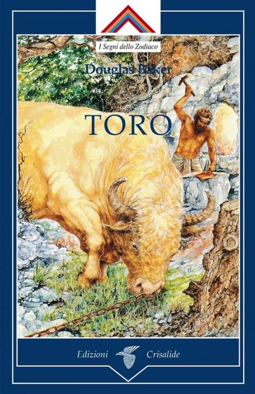 Cover of the book Toro by Douglas Baker, Edizioni Crisalide