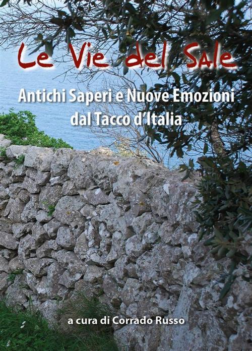 Cover of the book Le Vie del sale by Corrado Russo, Youcanprint