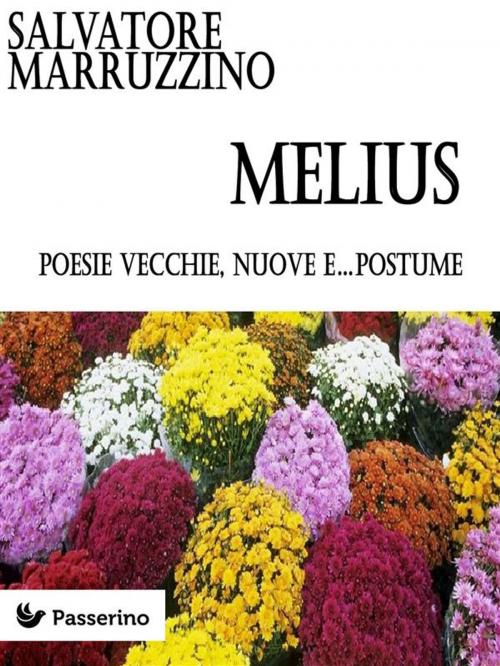 Cover of the book Melius by Salvatore Marruzzino, Passerino