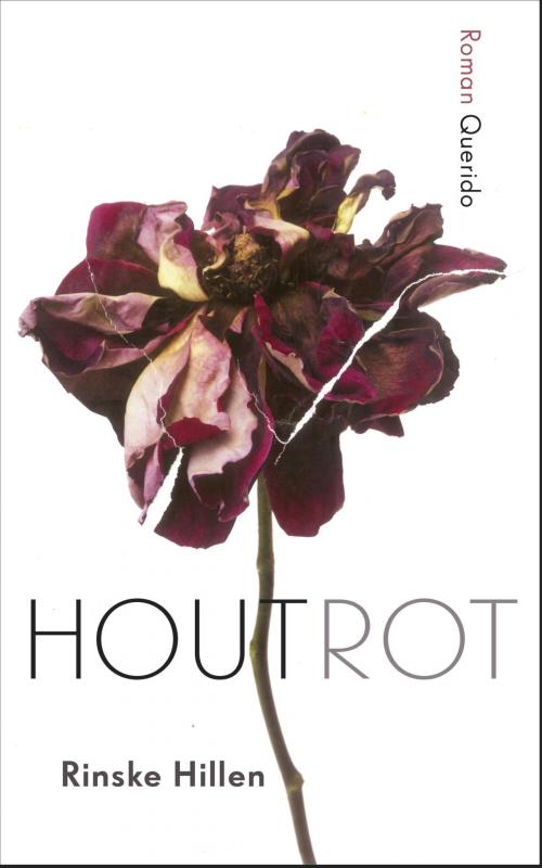 Cover of the book Houtrot by Rinske Hillen, Singel Uitgeverijen