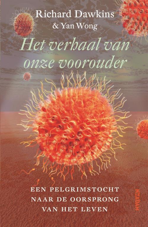 Cover of the book Het verhaal van onze voorouder by Richard Dawkins, Nieuw Amsterdam