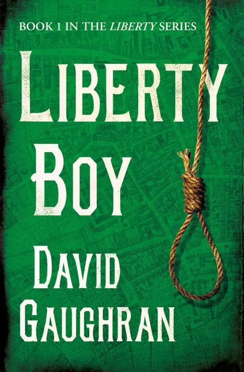 Cover of the book Liberty Boy by David Gaughran, David Gaughran