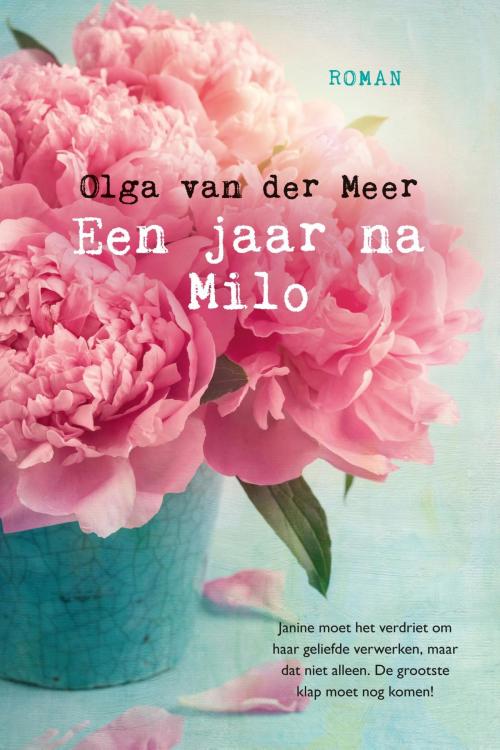 Cover of the book Een jaar na Milo by Olga van der Meer, VBK Media