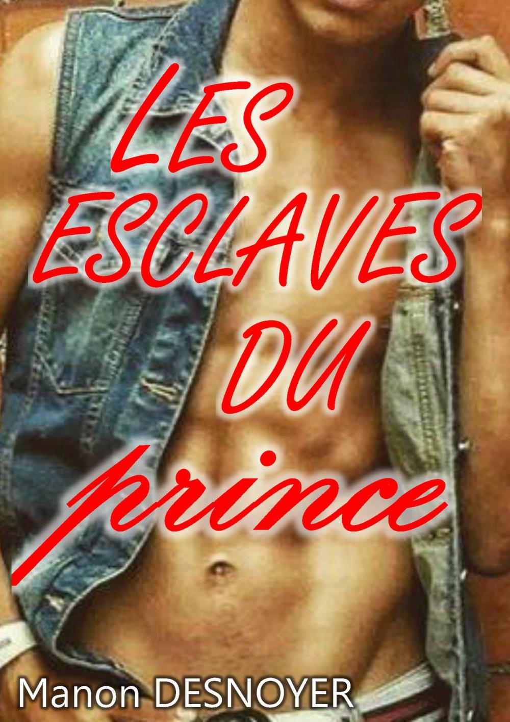 Big bigCover of Les esclaves du prince