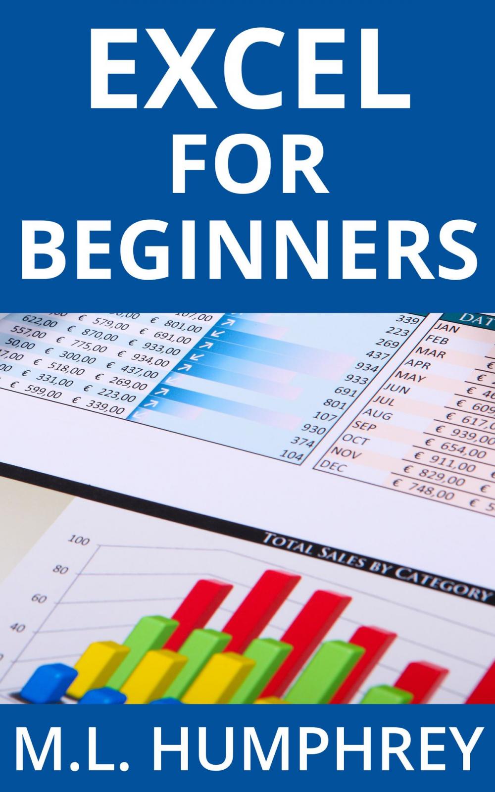 Big bigCover of Excel for Beginners