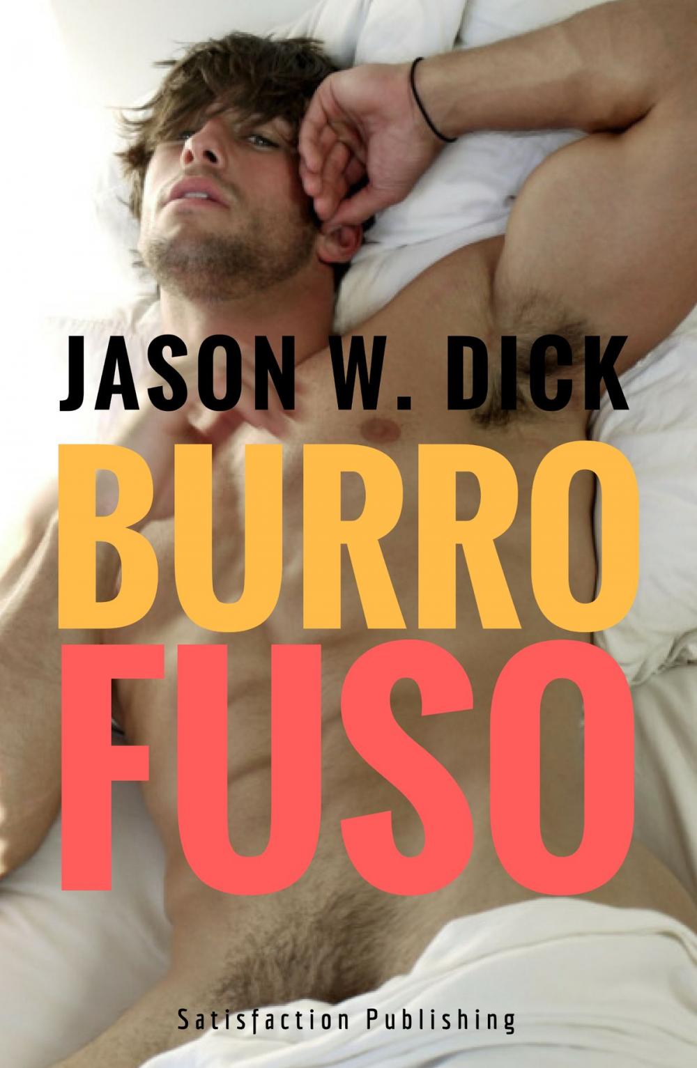 Big bigCover of Burro fuso