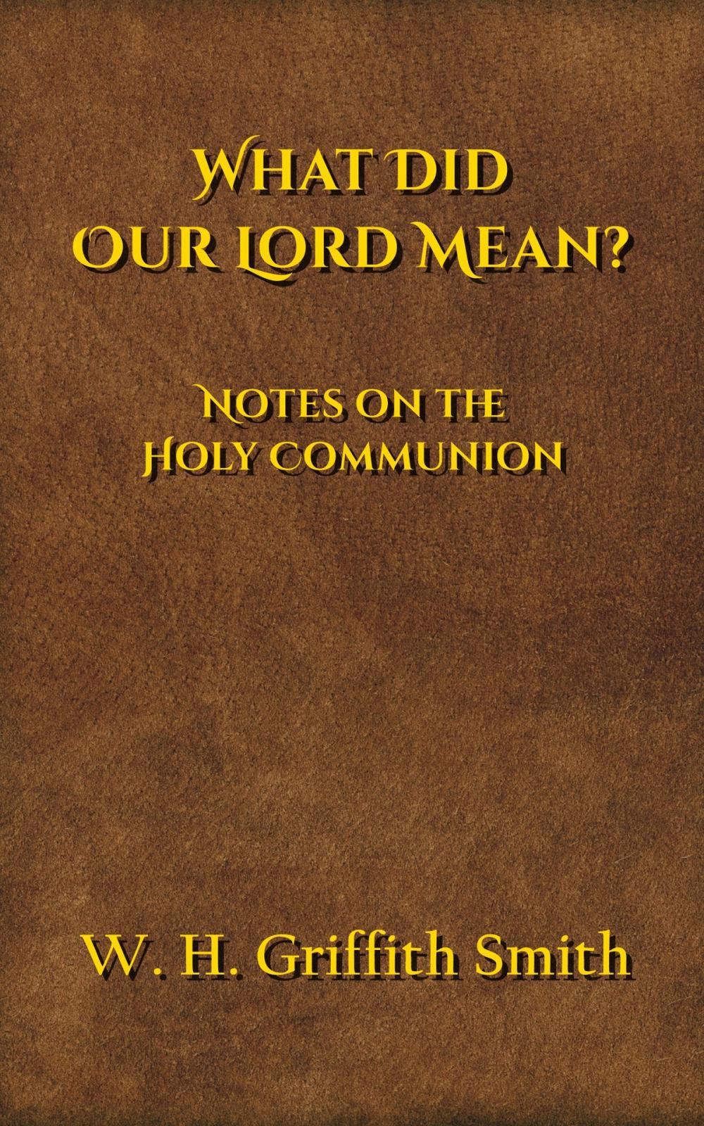 Big bigCover of What Did Our Lord Mean?