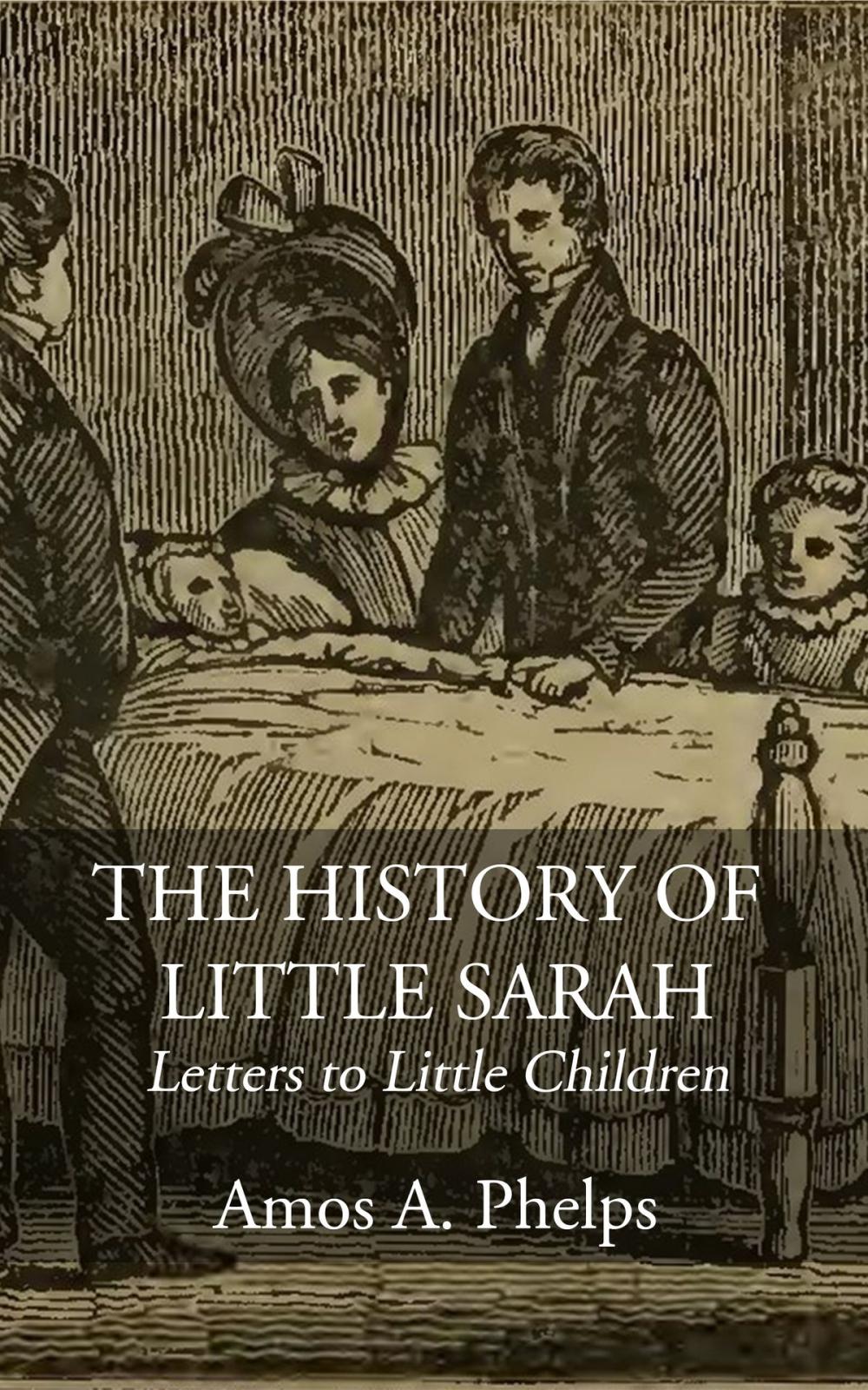 Big bigCover of The History of Little Sarah