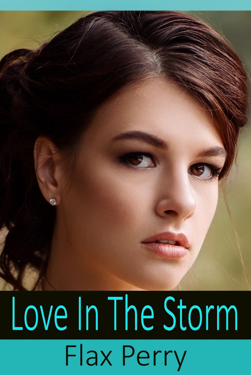 Big bigCover of Love In The Storm