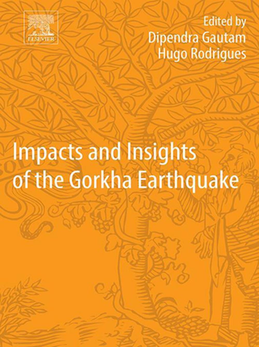 Big bigCover of Impacts and Insights of the Gorkha Earthquake