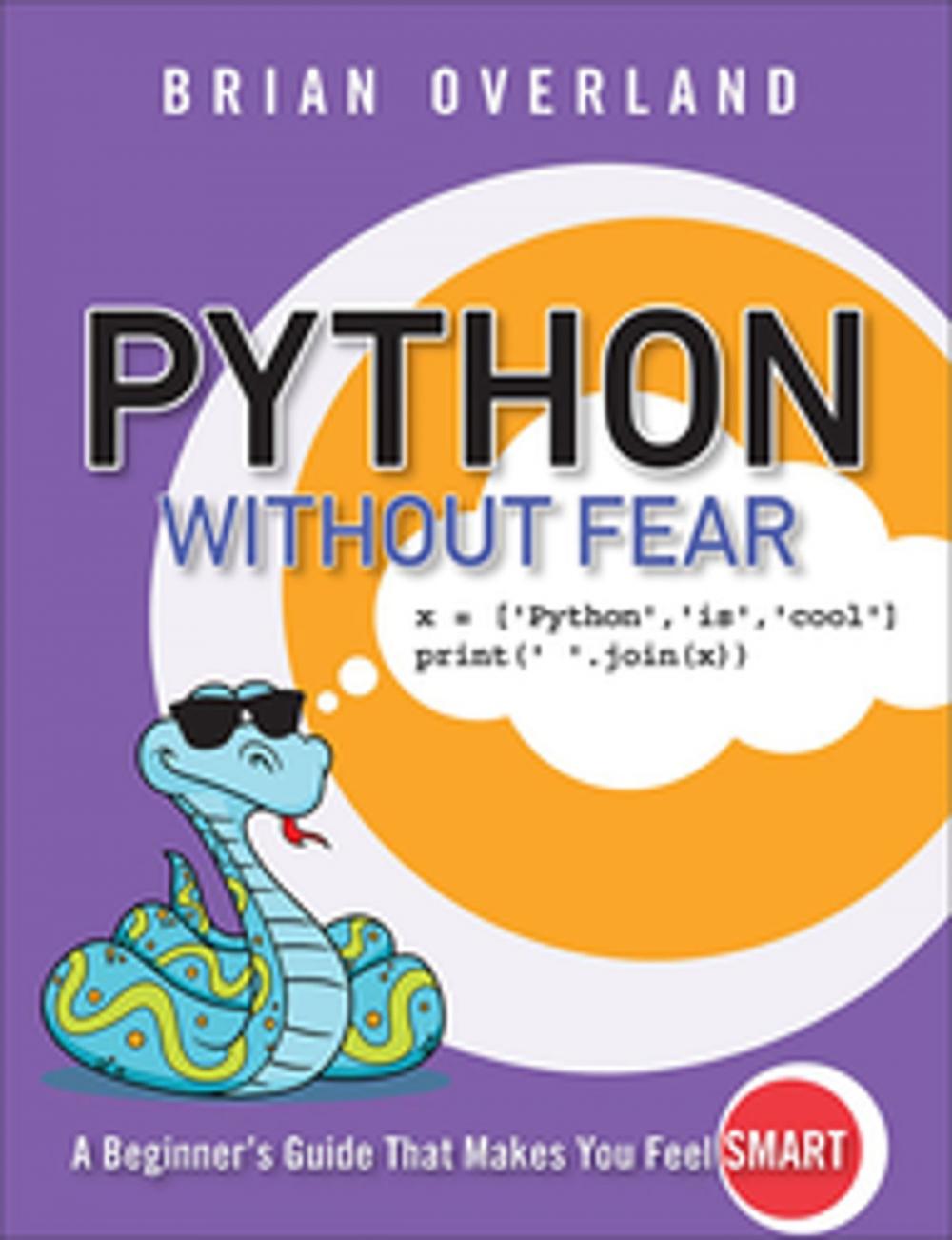 Big bigCover of Python Without Fear