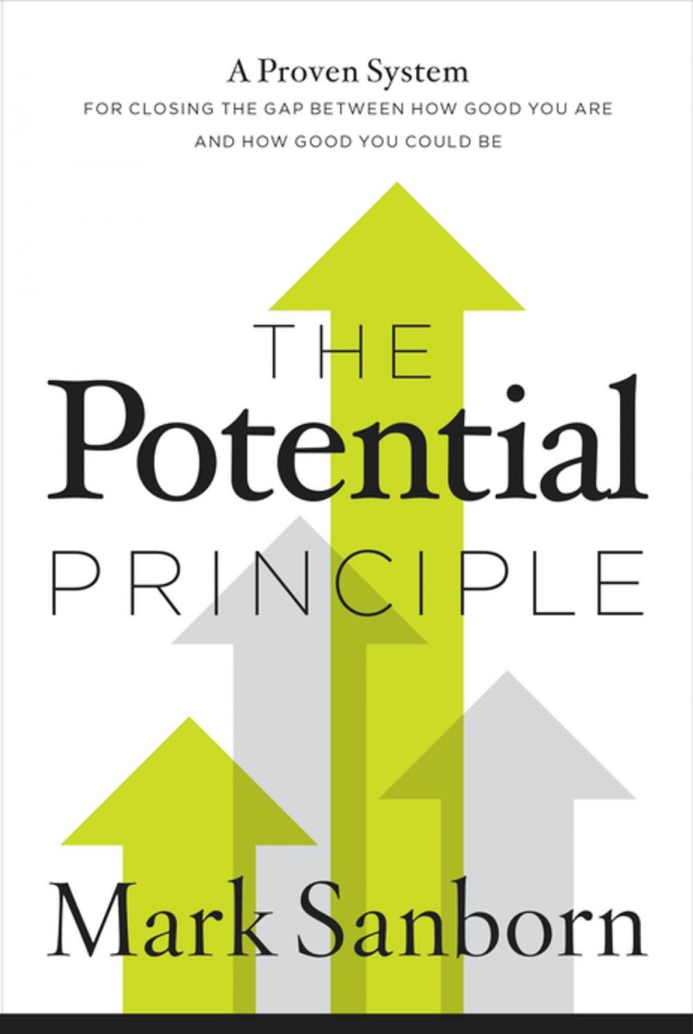 Big bigCover of The Potential Principle