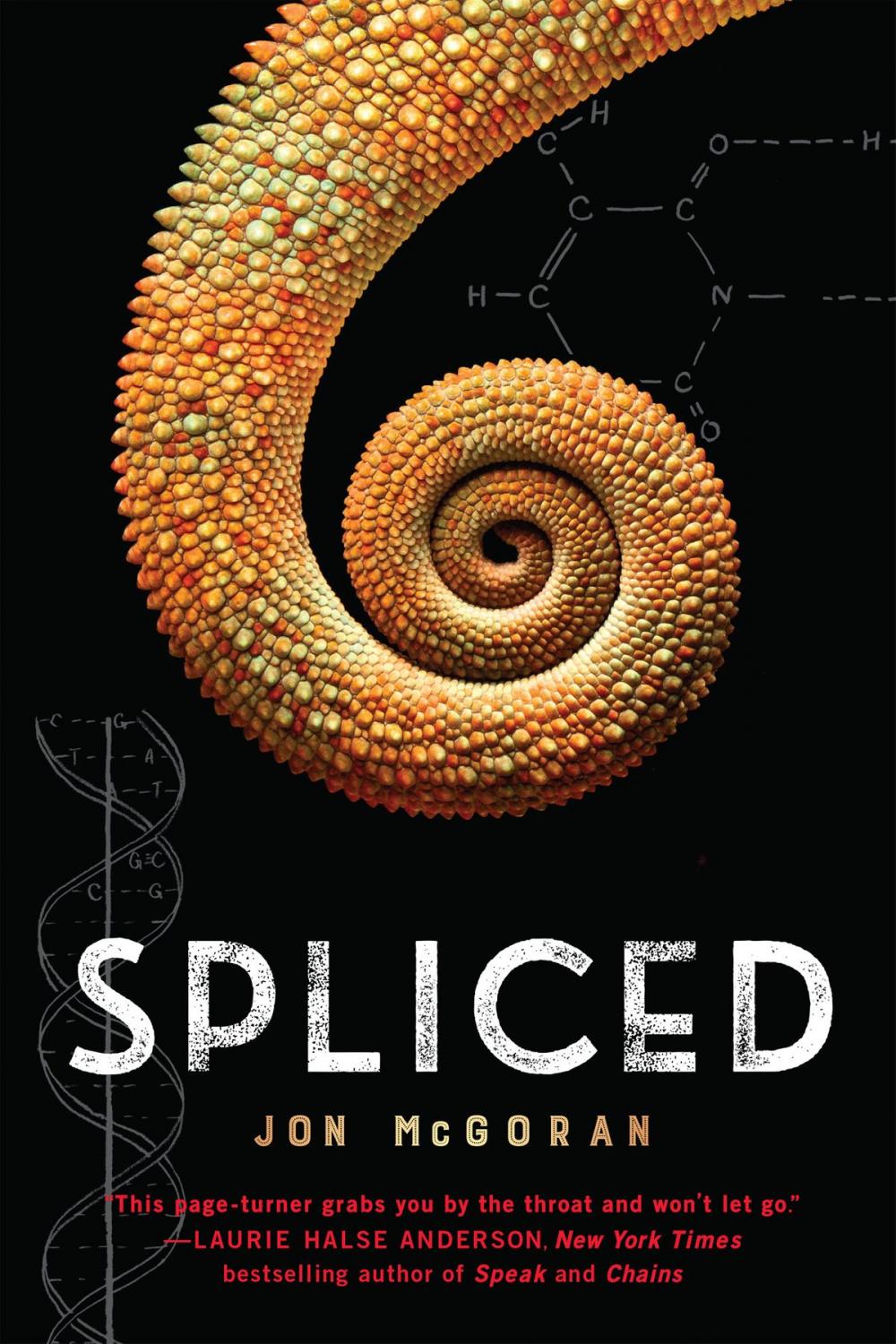 Big bigCover of Spliced