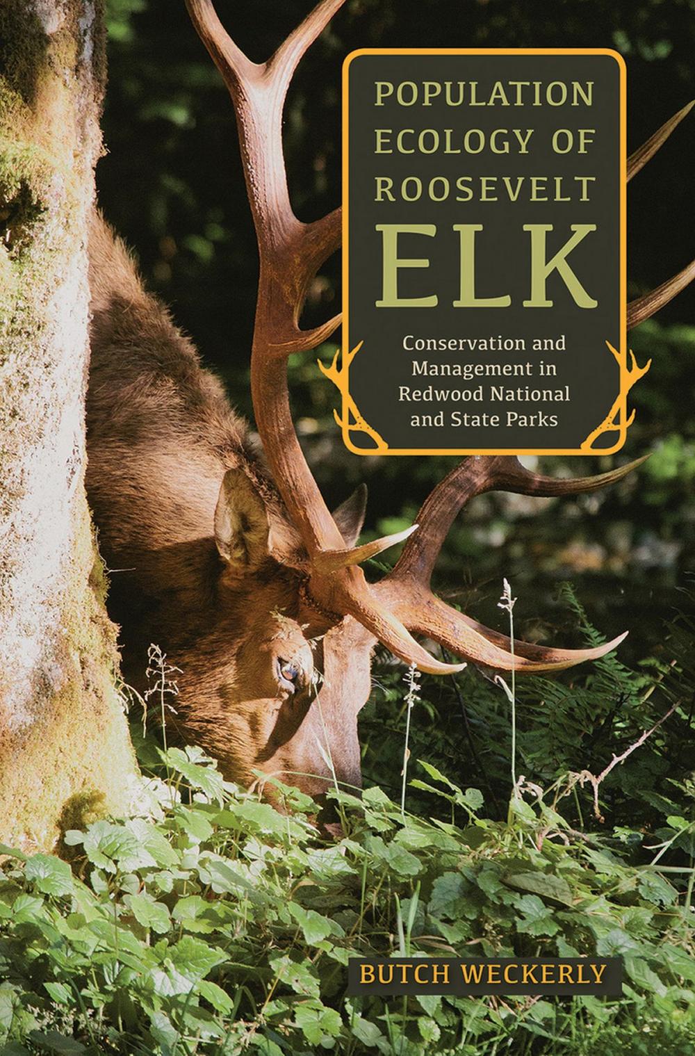 Big bigCover of Population Ecology of Roosevelt Elk