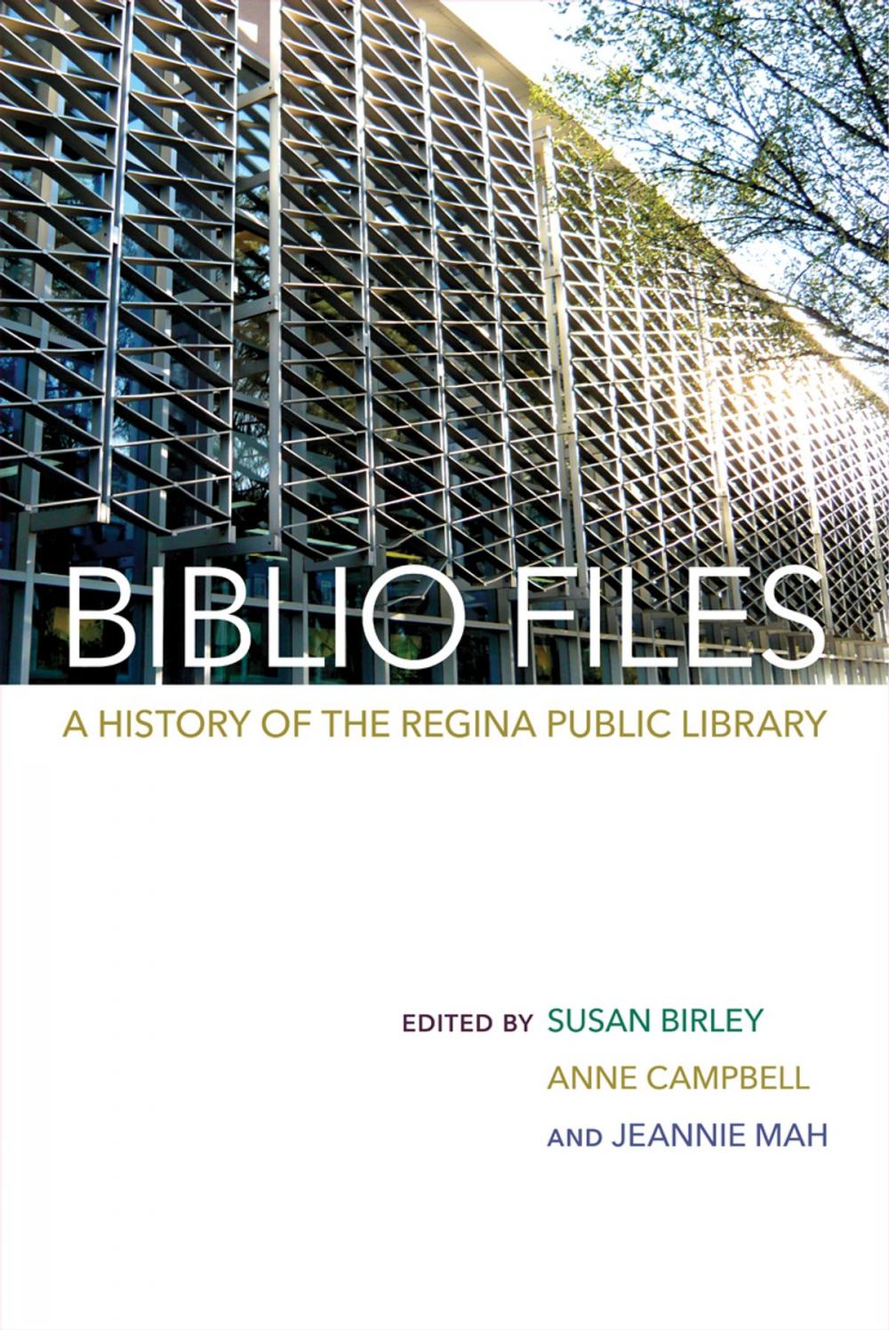 Big bigCover of Biblio Files