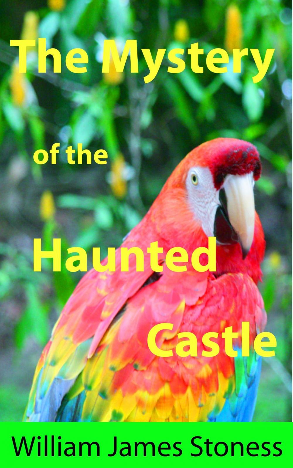 Big bigCover of The Mystery of the Haunted Castle