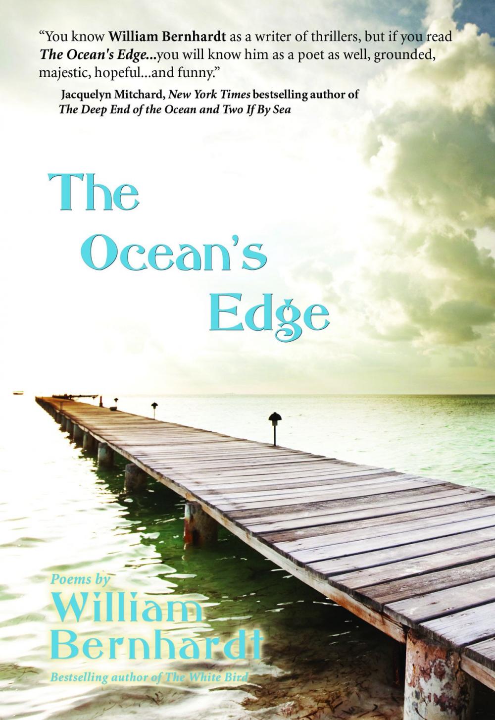 Big bigCover of The Ocean's Edge