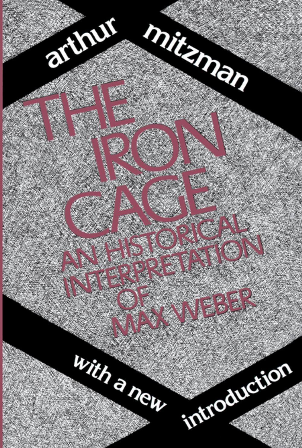Big bigCover of The Iron Cage