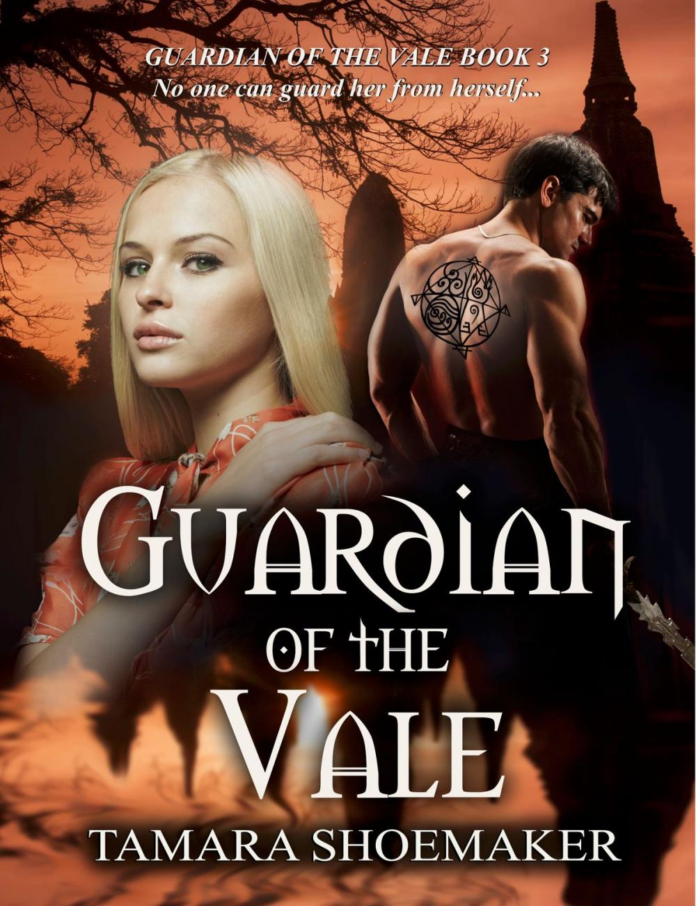 Big bigCover of Guardian of the Vale