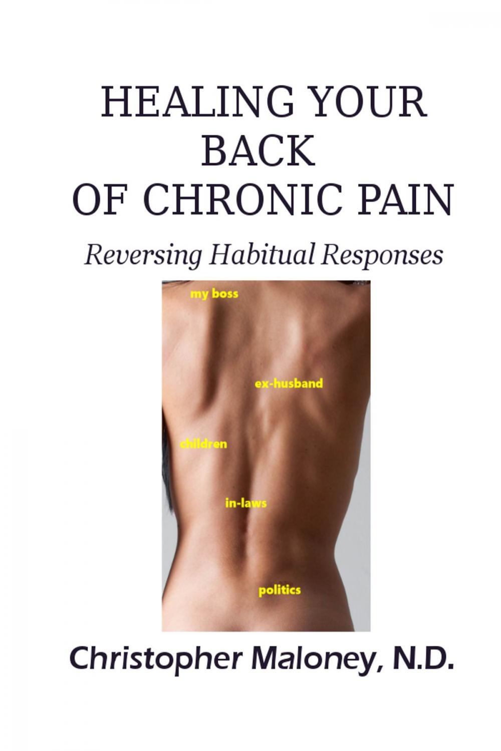 Big bigCover of Healing Your Back Of Chronic Pain