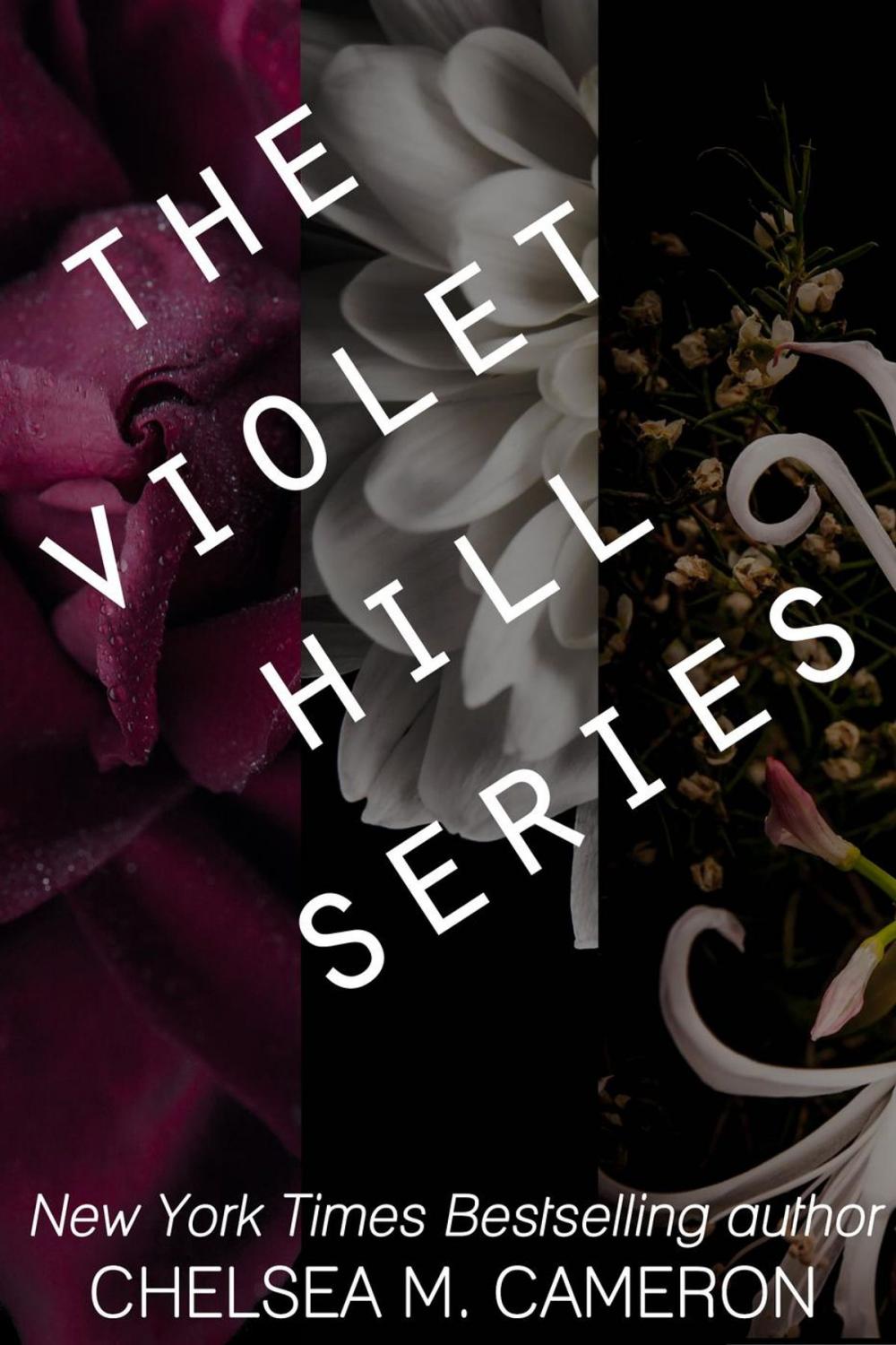 Big bigCover of The Violet Hill Series