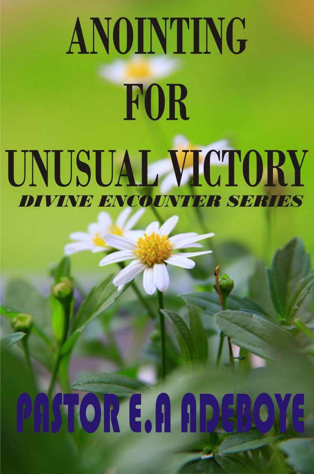 Big bigCover of Anointing for Unusual Victory