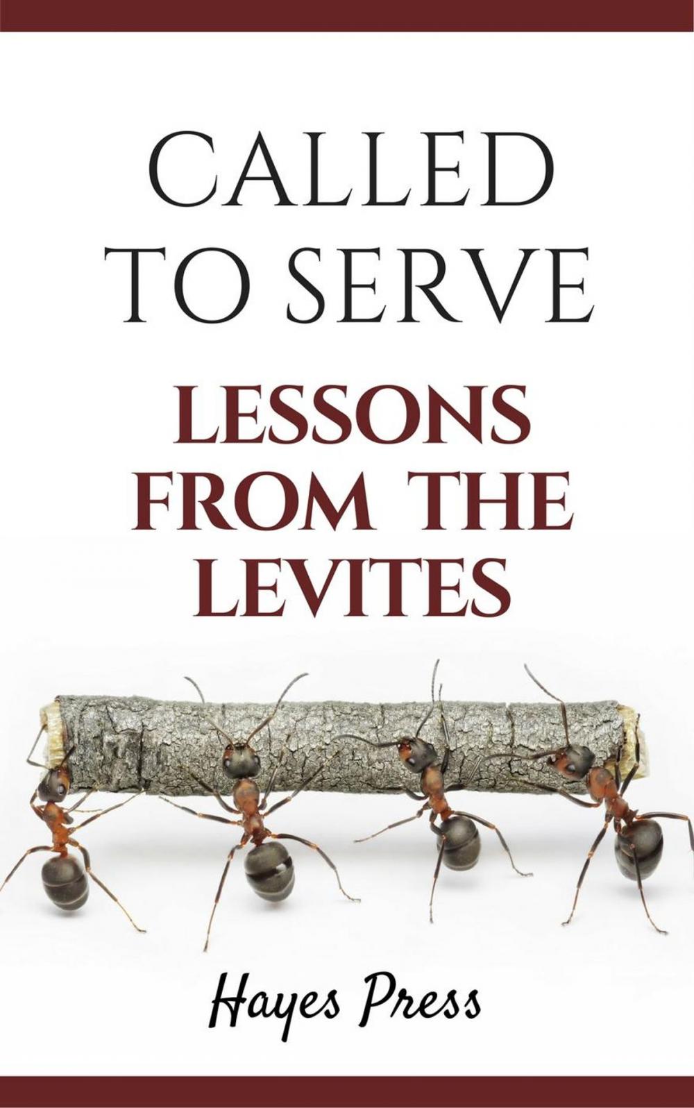 Big bigCover of Called to Serve: Lessons from the Levites