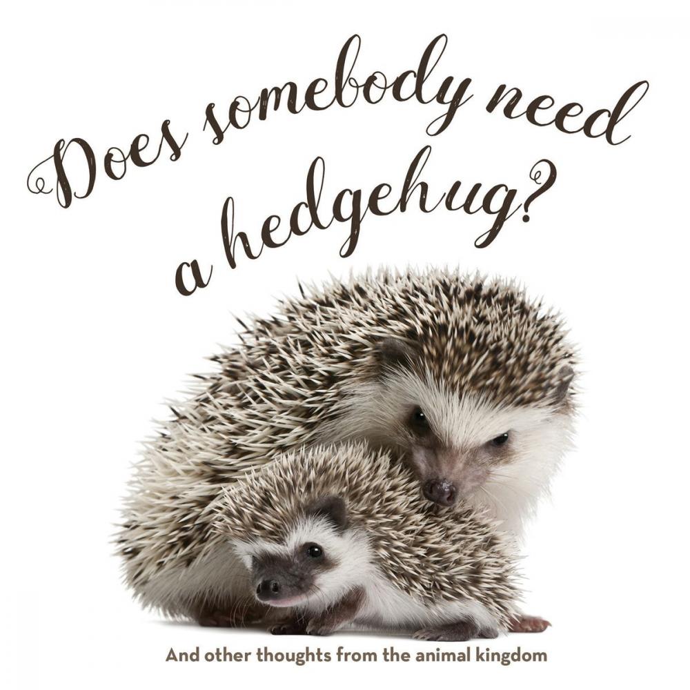 Big bigCover of Does Somebody Need a Hedgehug?