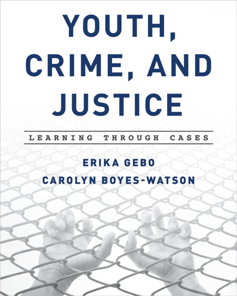 Big bigCover of Youth, Crime, and Justice
