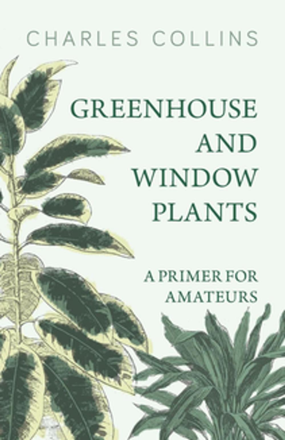 Big bigCover of Greenhouse and Window Plants - A Primer for Amateurs