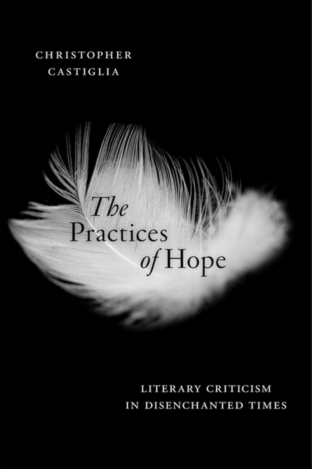 Big bigCover of The Practices of Hope