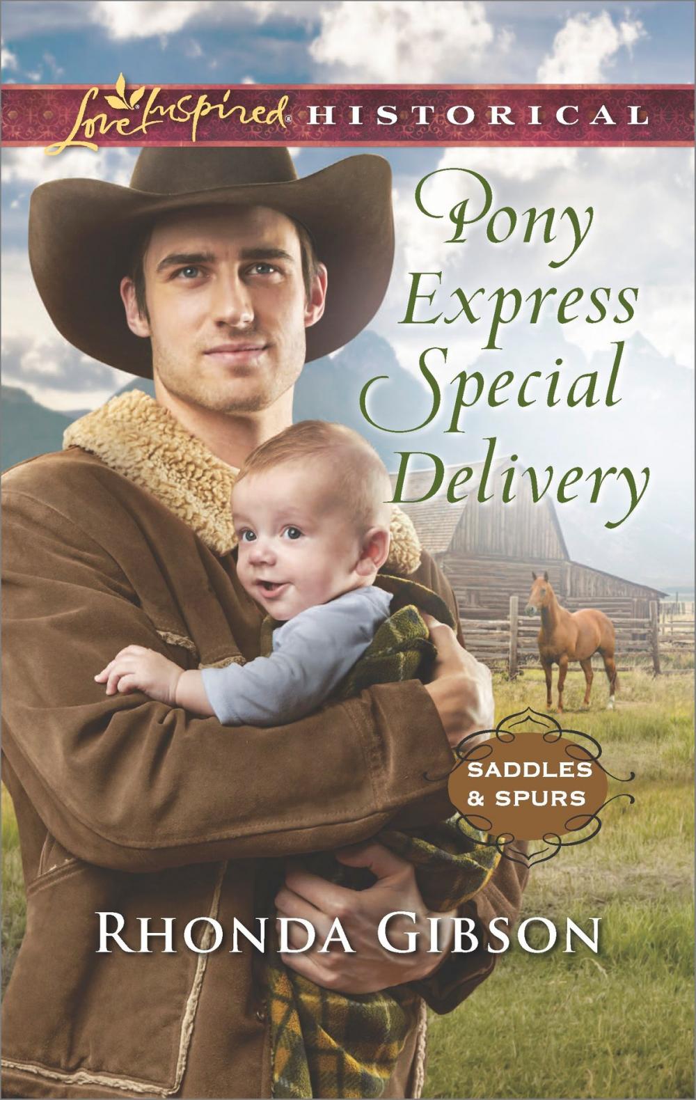 Big bigCover of Pony Express Special Delivery