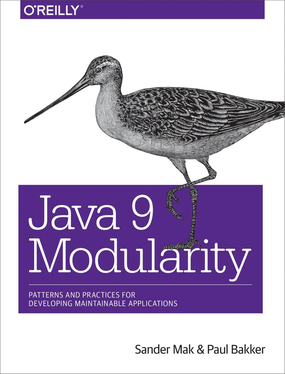Big bigCover of Java 9 Modularity