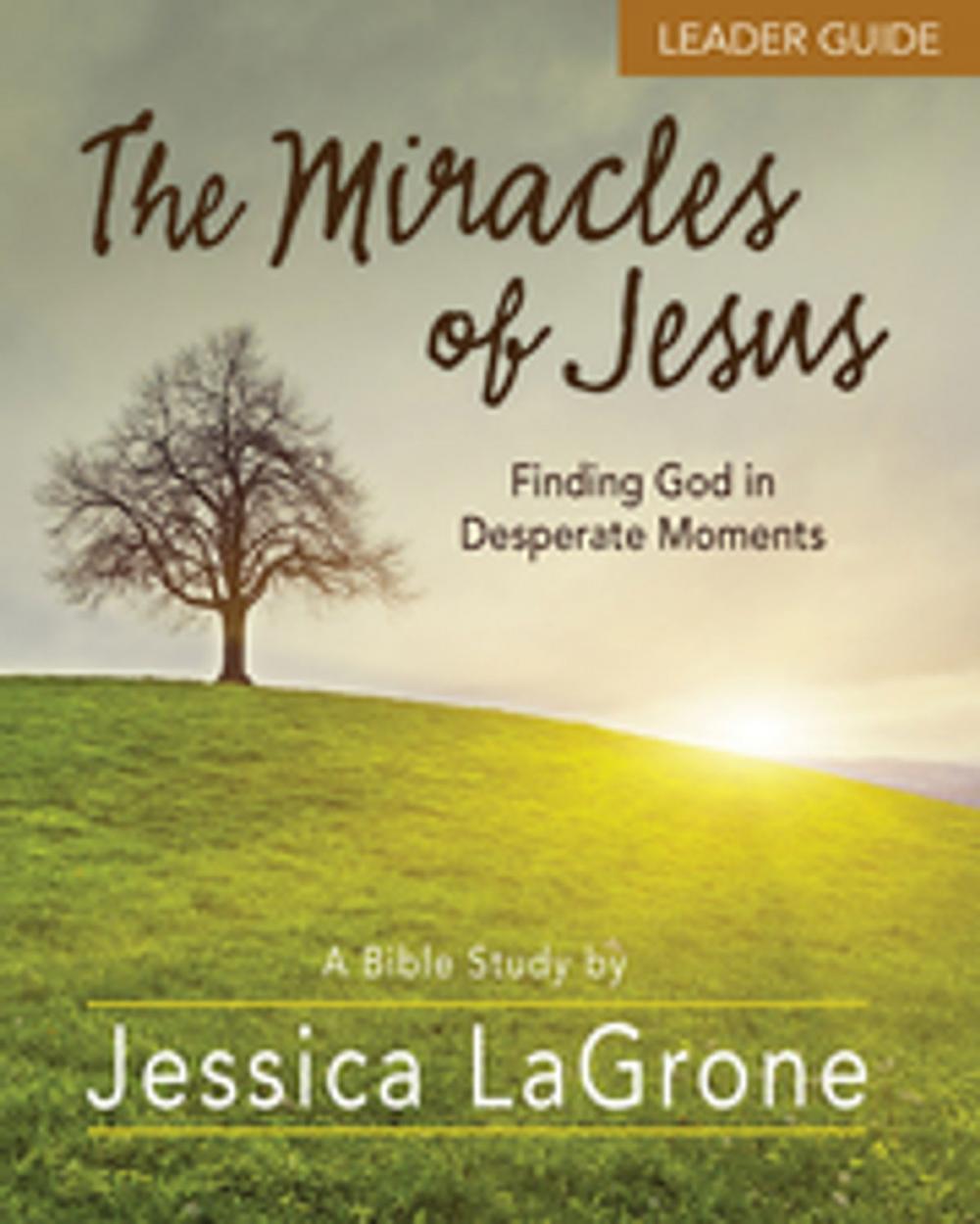 Big bigCover of The Miracles of Jesus - Women's Bible Study Leader Guide