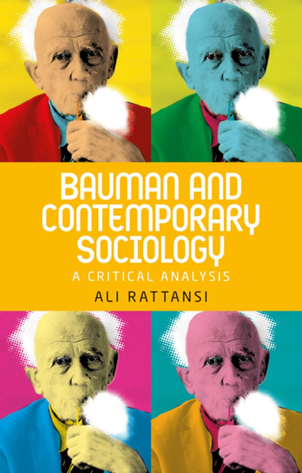 Big bigCover of Bauman and contemporary sociology