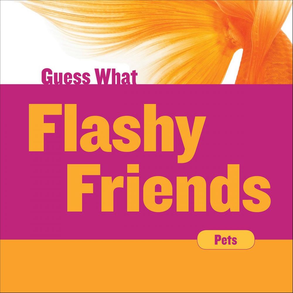 Big bigCover of Flashy Friends