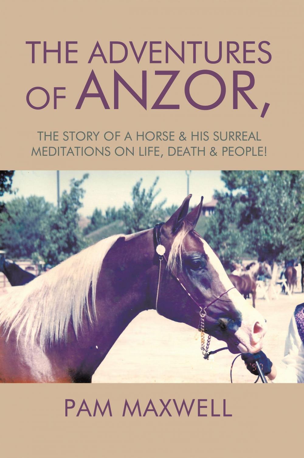 Big bigCover of The Adventures of Anzor