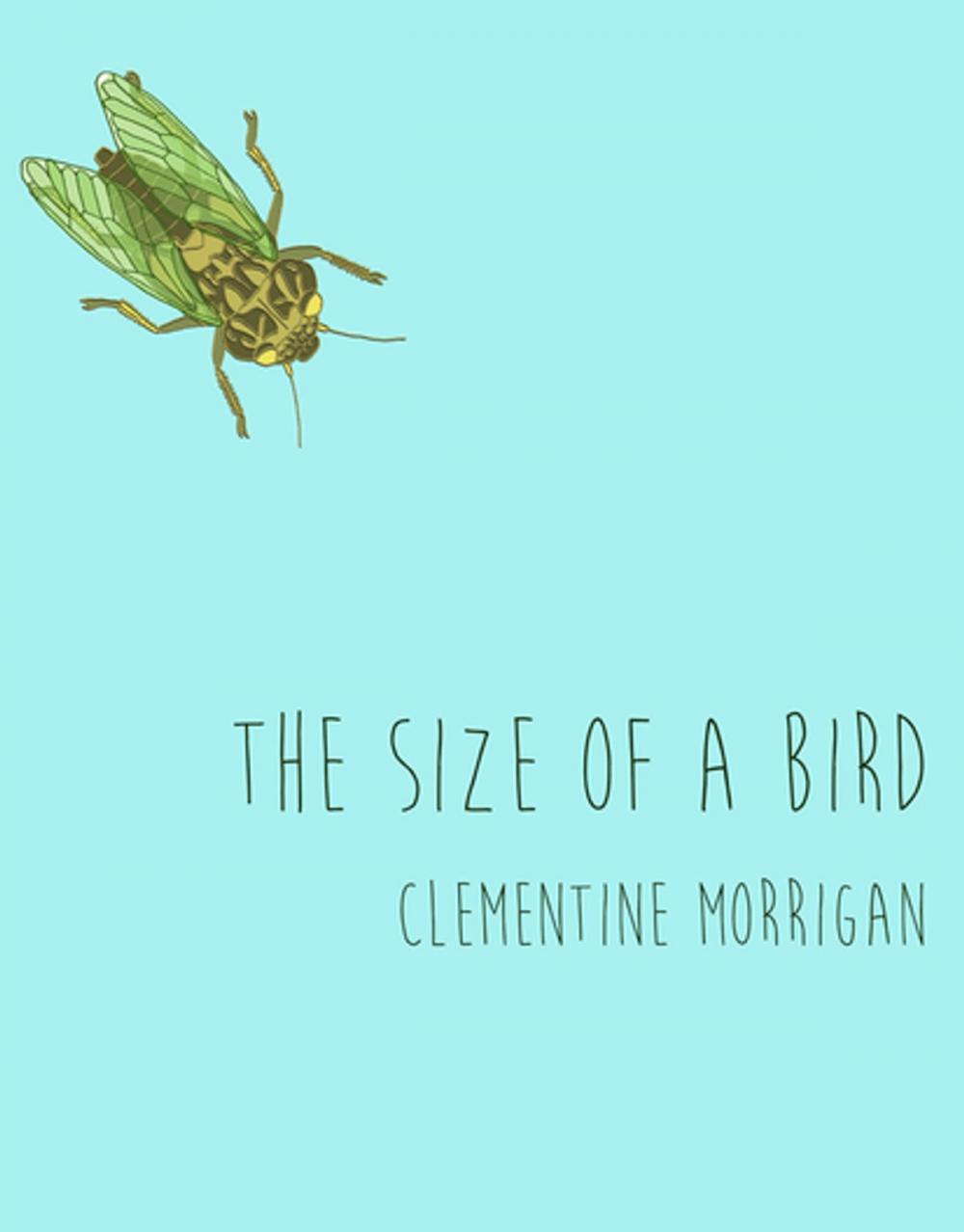 Big bigCover of The Size of a Bird